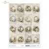 kwiaty, ramy, styl vintage, pastele, elegancja, dekoracja, delikatność, akwarela, botanika, estetyka shabby chic Angielski: flowers, frames, vintage style, pastels, elegance, decoration, delicacy, watercolor, botany, shabby chic aesthetic